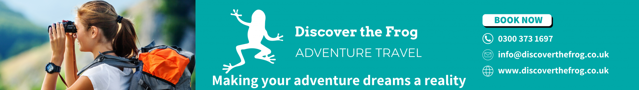 Discover The Frog